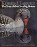The Year of the Greylag Goose