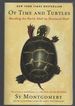 Of Time and Turtles: Mending the World, Shell By Shattered Shell