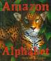 Amazon Alphabet