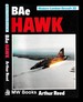Bae Hawk / Arthur Reed