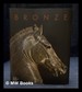 Bronze / Edited By David Ekserdjian