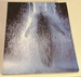 Bill Viola