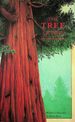 The Tree of Time: a Story of a Special Sequoia