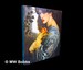 Pre-Raphaelite Sisters / Jan Marsh; With Contributions By Peter Funnell, Charlotte Gere, Pamela Gerrish Nunn and Alison Smith