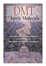 Dmt: the Spirit Molecule: a Doctor's Revolutionary Research Into the Biology of Near-Death and Mystical Experiences
