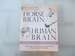 Horse Brain, Human Brain: the Neuroscience of Horsemanship