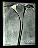 Tina Modotti: Photographs