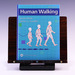 Human Walking
