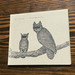 Neil Halstead / Palindrome Hunches