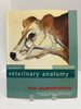 Color Atlas of Veterinary Anatomy: the Ruminants