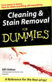 Cleaning and Stain Removal for Dummies