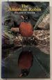 American Robin, the