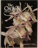 Orchid the Wild Species