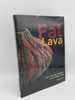 Fat Lava: West German Ceramics of the 1960s and 70s