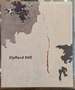 Clyfford Still: Paintings 1944-1960