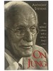 On Jung: an Updated Edition With a Reply to Jung's Critics