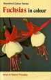 Fuchsias in Colour