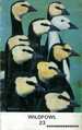 Wildfowl 23