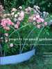 Projects for Small Gardens-56 Projects With Step-By-Step Instructions