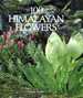 100 Himalayan Flowers