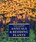 Annuals and Bedding Plants