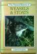 The Natural History of Weasels and Stoats