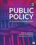 Public Policy a Concise Introduction