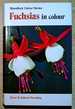 Fuchsias in Colour