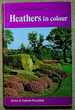 Heathers in Colour