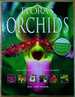 Flora's Orchids