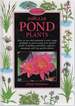 Popular Pond Plants