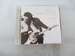 Bruce Springsteen-Born to Run Gold Cd