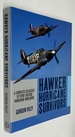 Hawker Hurricane Survivors: a Complete Catalogue of Every Existing Hurricane Worldwide By Gordon Riley