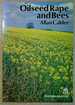 Oilseed Rape and Bees