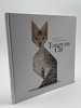 Tangram Cat