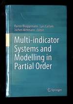 Multi-Indicator Systems and Modelling in Partial Order