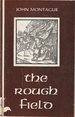 The Rough Field