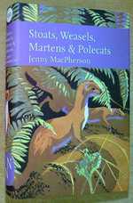 Stoats, Weasels, Martens & Polecats (Collins New Naturalist Library 149)