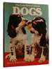 Dogs