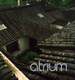 Atrium: Lichth�fe Seit F�nf Jahrtausenden = Five Thousand Years of Open Courtyards