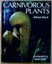 Carnivorous Plants
