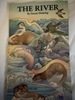 River: Nature Panorama Board Bk