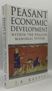 Peasant Economic Development Within the English Manorial System