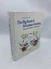 The Big Book of Simulation Modeling: Anylogic 6