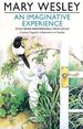 Imaginative Experien