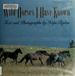 Wild Horses I Have Known