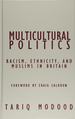 Multicultural Politics: Racism, Ethnicity, and Muslims in Britain (Contradictions of Modernity)