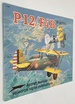 P-12/F4b in Action-Aircraft Number 141 Squadron Signal By Larry Davis