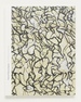 Think of Them as Spaces: Brice Marden's Drawings