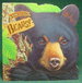 Bears